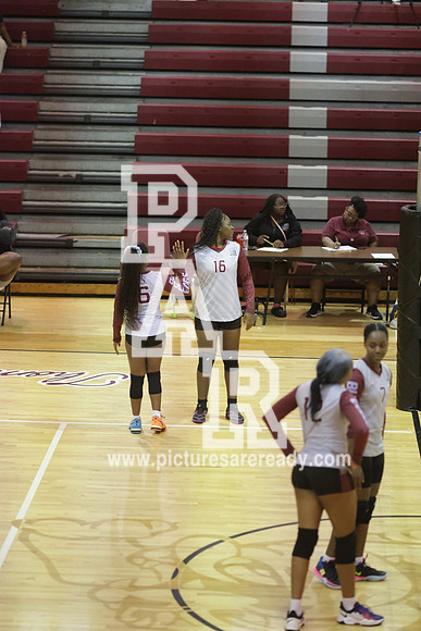 2024_Vball_ProvinevsLanier-95