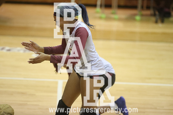 2024_Vball_ProvinevsLanier-10