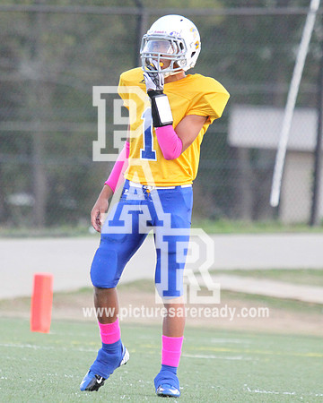 2013_FB_CardozovsPowell_Championship-34