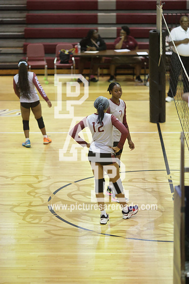 2024_Vball_ProvinevsLanier-94