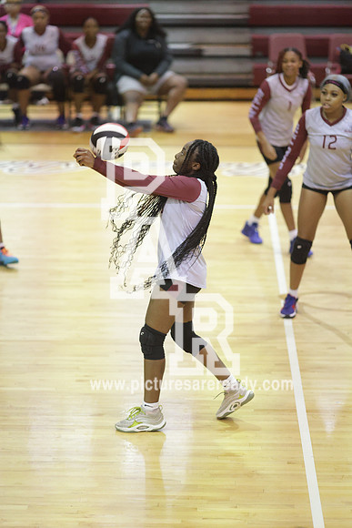 2024_Vball_ProvinevsLanier-43