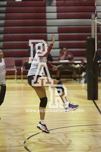 2024_Vball_ProvinevsLanier-88