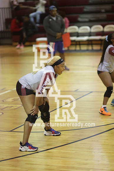2024_Vball_ProvinevsLanier-77