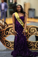 2025 Stacey (Terry Coronation)