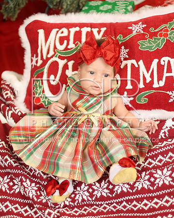 2024_Christmas_Tyniala-19