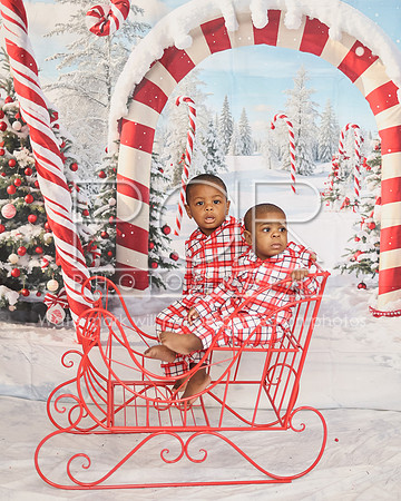 2024_Christmas_Tierra-13