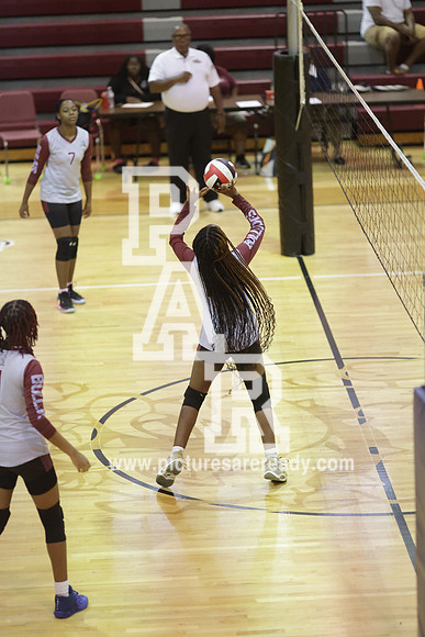 2024_Vball_ProvinevsLanier-89