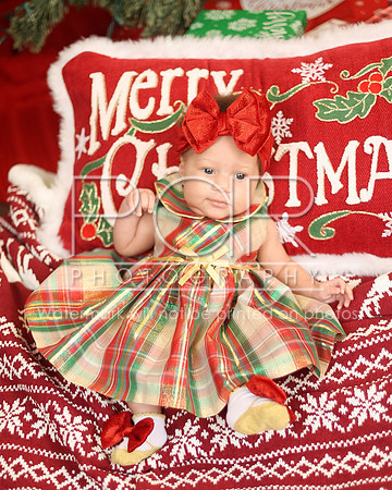 2024_Christmas_Tyniala-20