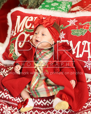 2024_Christmas_Tyniala-25