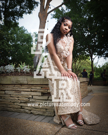 2024_Prom_Madisen-6
