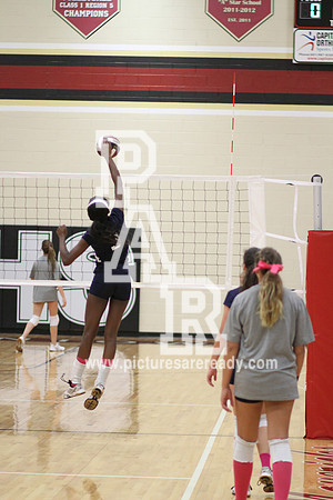 2013_VB_RidgelandvsGermantown-6