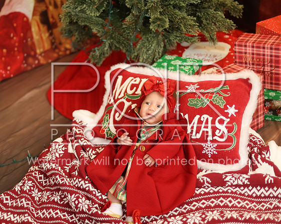 2024_Christmas_Tyniala-22