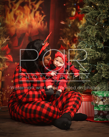 2024_Christmas_Tyniala-3