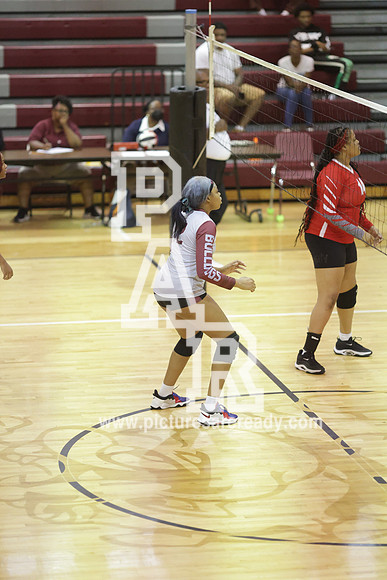 2024_Vball_ProvinevsLanier-45