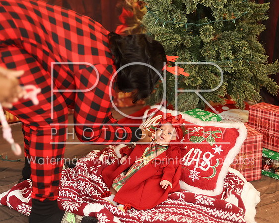 2024_Christmas_Tyniala-21