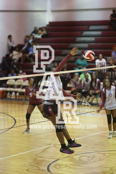 2024_Vball_ProvinevsLanier-130
