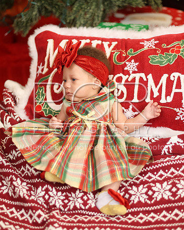 2024_Christmas_Tyniala-17
