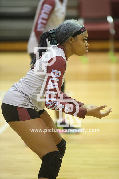 2024_Vball_ProvinevsLanier-29