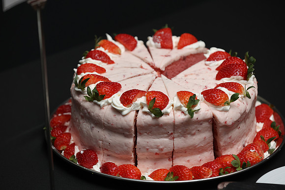 2025_Levi_Party-61