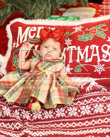 2024_Christmas_Tyniala-15