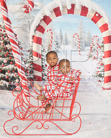 2024_Christmas_Tierra-14