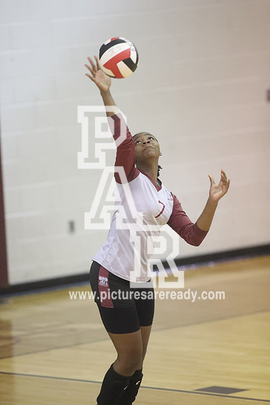 2024_Vball_ProvinevsLanier-113