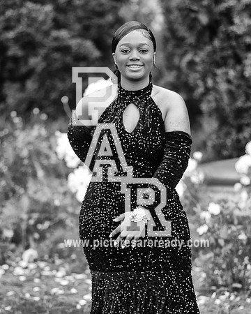 338A1215-Edit