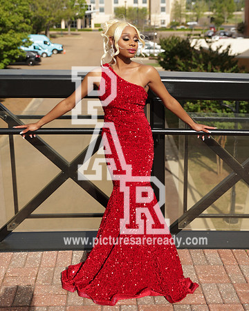 2024_Prom_Anijah-19